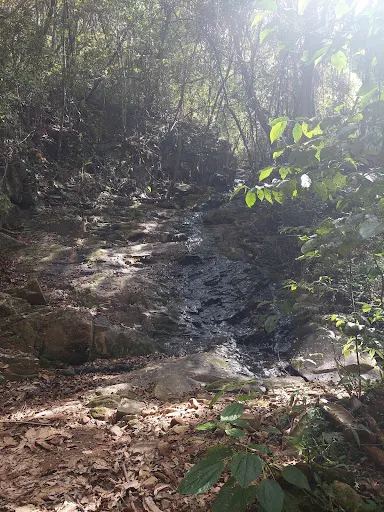 Foto 12 de Camping Recanto da Cachoeira