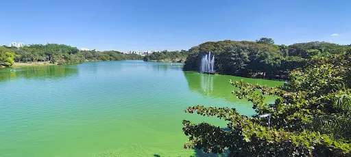 Foto 15 de Parque Portugal Campinas
