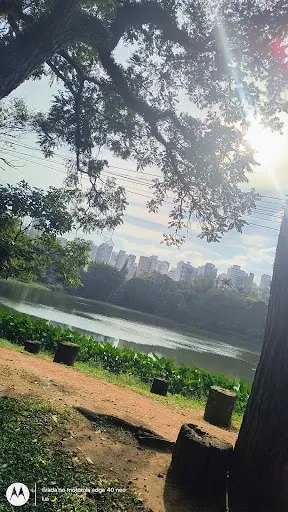 Foto 30 de Parque da Aclimação