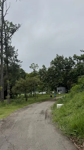 Foto 18 de Parque Tietê Ecológico Barueri