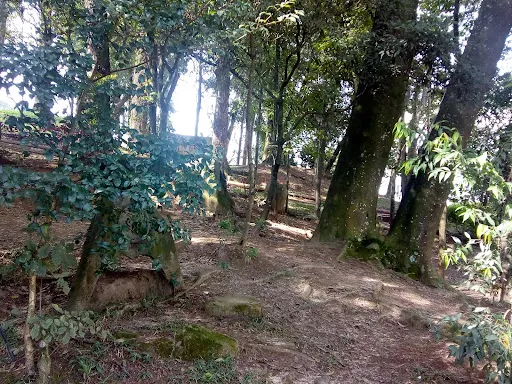 Foto 27 de Parque Takebe