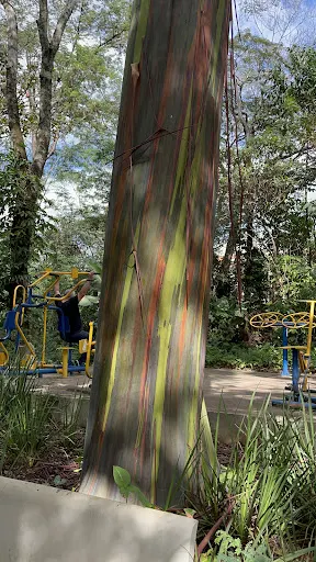 Foto 9 de Parque Ecológico Prof. Hermógenes de Freitas Leitão