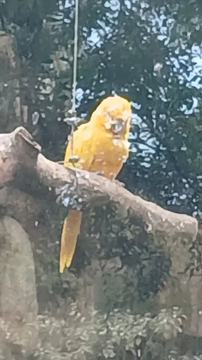 Foto 33 de Zoo São Paulo