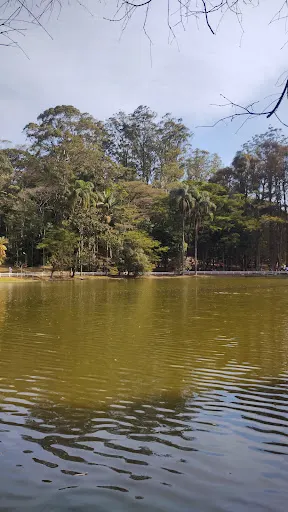 Foto 15 de Museu Florestal Octávio Vecchi
