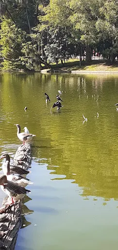 Foto 20 de Parque Horto Florestal - Portões 1 e 2