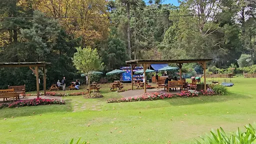 Foto 24 de Parque Estadual Campos do Jordão (Horto Florestal)