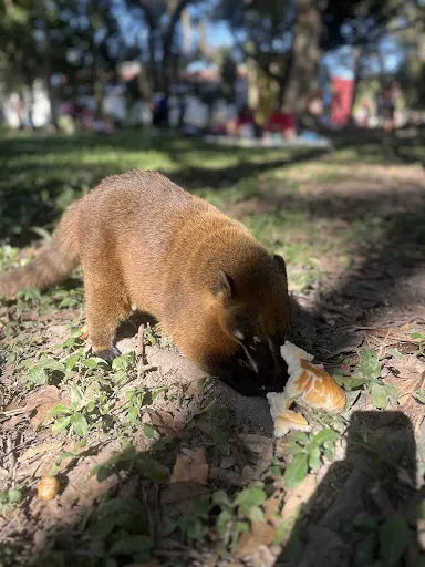 Foto 11 de Parque Ecológico do Tietê