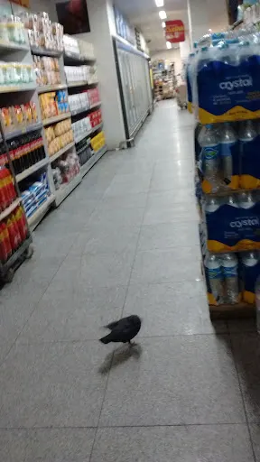 Foto 10 de Dia Supermercado