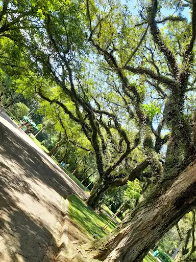 Foto 31 de Oca - Parque Ibirapuera