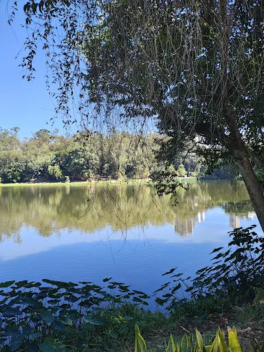 Foto 20 de Parque da Aclimação