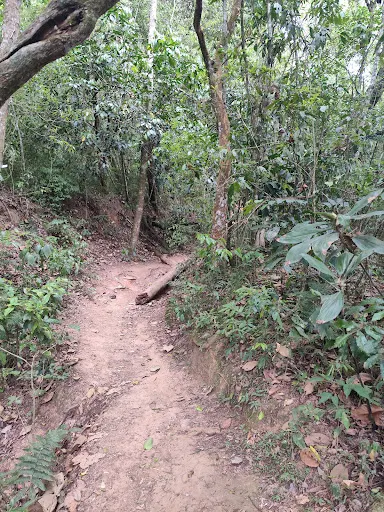 Foto 11 de CACHOEIRA DA GRAÇA COTIA