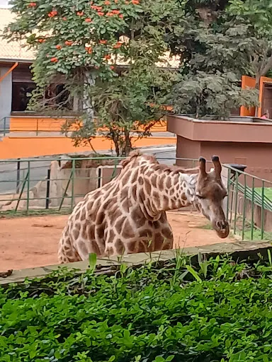 Foto 10 de Zoo São Paulo