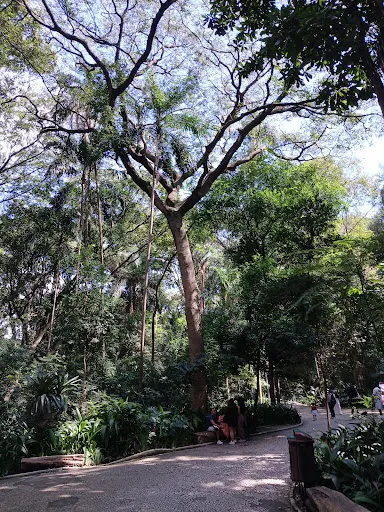 Foto 21 de Parque Tenente Siqueira Campos - Trianon