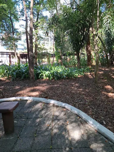 Foto 30 de Parque Prefeito Mário Covas