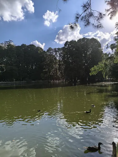 Foto 8 de Parque Horto Florestal - Portão 4