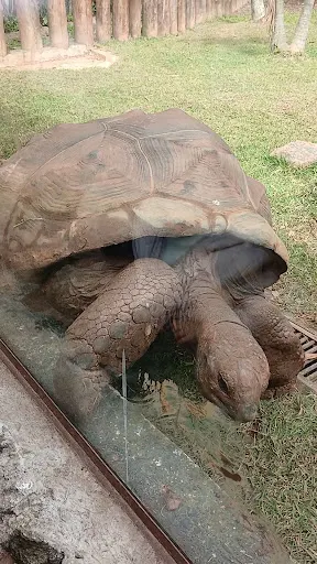 Foto 9 de Zoo São Paulo