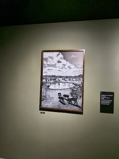 Foto 26 de Museu da Imagem e do Som (MIS) - São Paulo