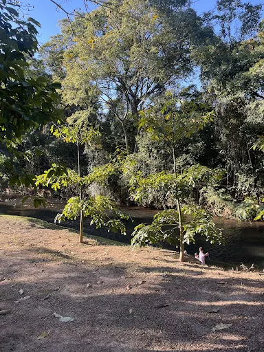Foto 34 de Camping Recanto Passa 5