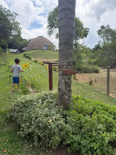 Foto 19 de Voador