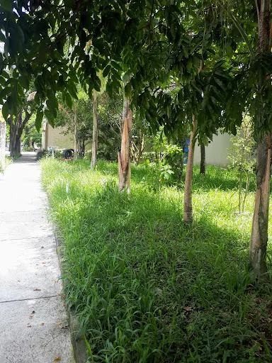 Foto 11 de Praça Vidal Antonio de castro