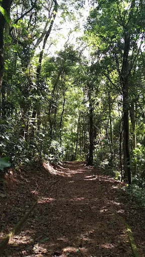Foto 23 de Trilha do Silêncio