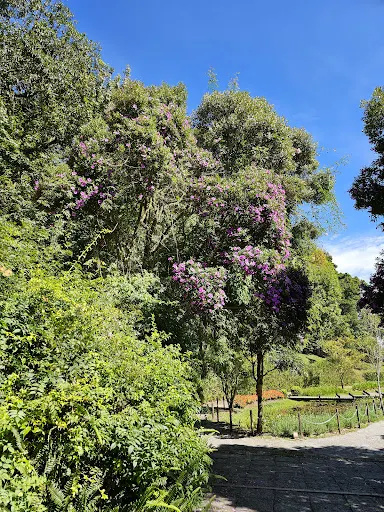 Foto 18 de Parque Amantikir