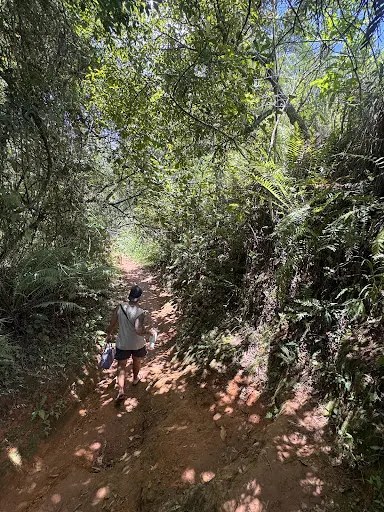 Foto 9 de Cachoeira do Vau Novo