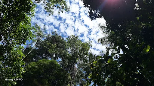 Foto 22 de Parque Estadual Cantareira - Núcleo Pedra Grande
