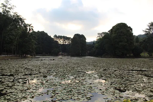 Foto 37 de Parque Horto Florestal - Portões 1 e 2