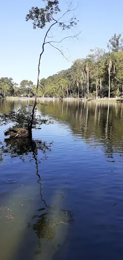 Foto 10 de Parque Horto Florestal - Portões 1 e 2