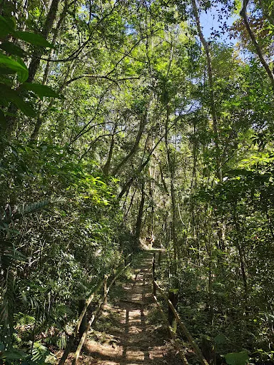 Foto 20 de Parque Estadual Cantareira - Núcleo Cabuçu