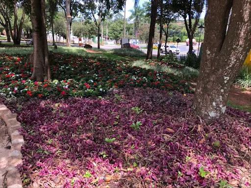 Foto 36 de Praça dos Coqueiros