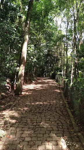 Foto 21 de Trilha do Silêncio