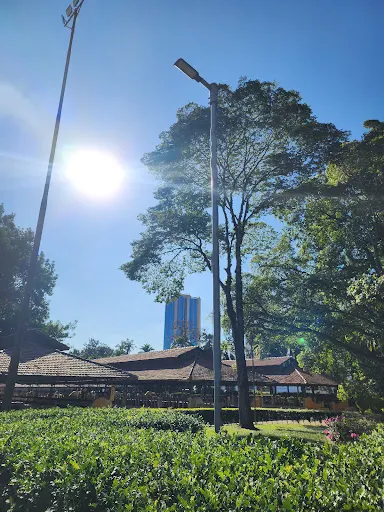 Foto 40 de Parque da Água Branca