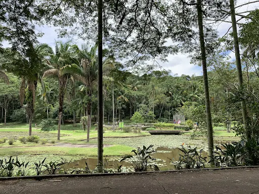 Foto 24 de Jardim Botânico de São Paulo