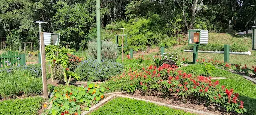 Foto 17 de Parque Ecológico Imigrantes
