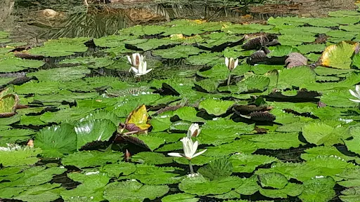 Foto 25 de Próxima Saída Viagens e passeios de um dia