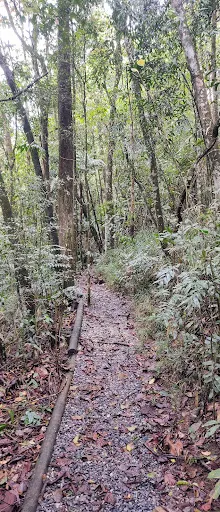Foto 6 de Parque Ecológico Imigrantes