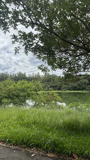 Foto 19 de Parque Tietê Ecológico Barueri