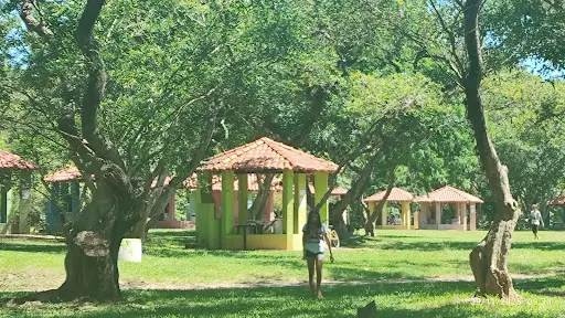 Foto 12 de Parque Ecológico - Ilha do Tamboré
