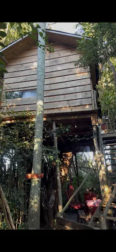 Foto 12 de Glamping da Represa
