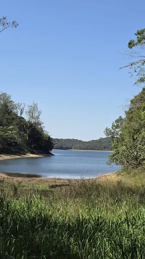 Foto 10 de Parque Estadual Águas da Billings -