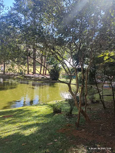 Foto 38 de Parque Horto Florestal - Portão 5