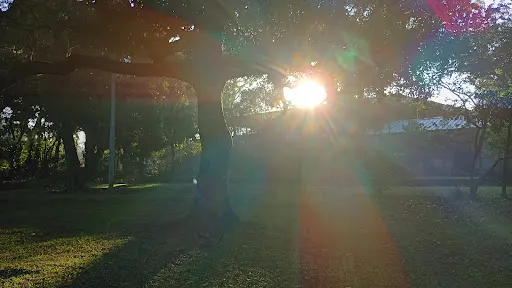 Foto 14 de Parque Jardim da Luz