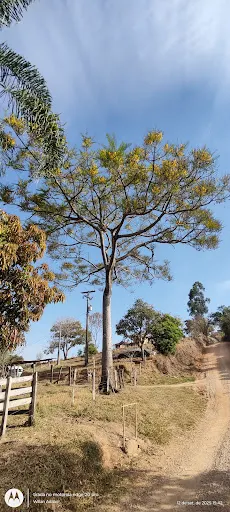 Foto 15 de Camping Boaretto - Vale das Pedras