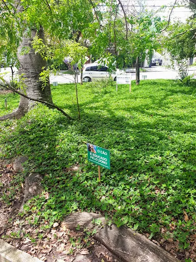 Foto 5 de Praça Vidal Antonio de castro