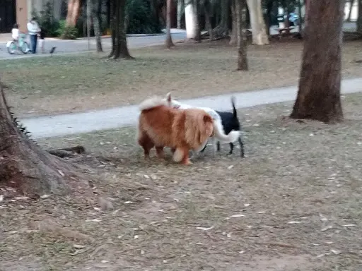 Foto 10 de Parquinho Conde de Barcelos