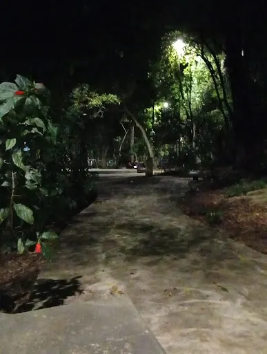 Foto 5 de Praça Araçatuba