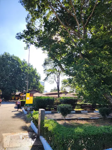 Foto 21 de Parque da Água Branca