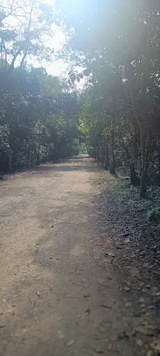 Foto 14 de Trem Turístico - Parque Ecológico